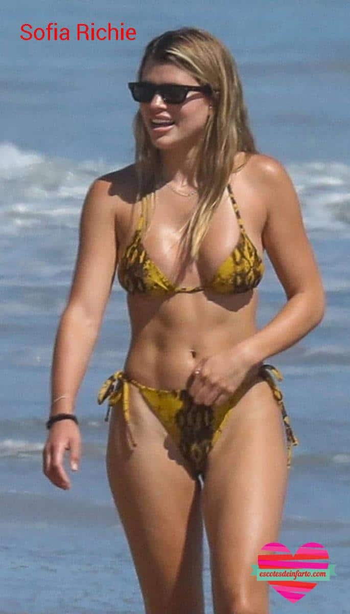Sofia Richie Muestra su Increible Cuerpo 2 Sofia Richie se pone bien las braguitas