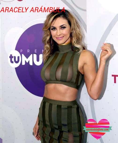 Pack de Aracely Arámbula 5 Aracely Arámbula transparencias