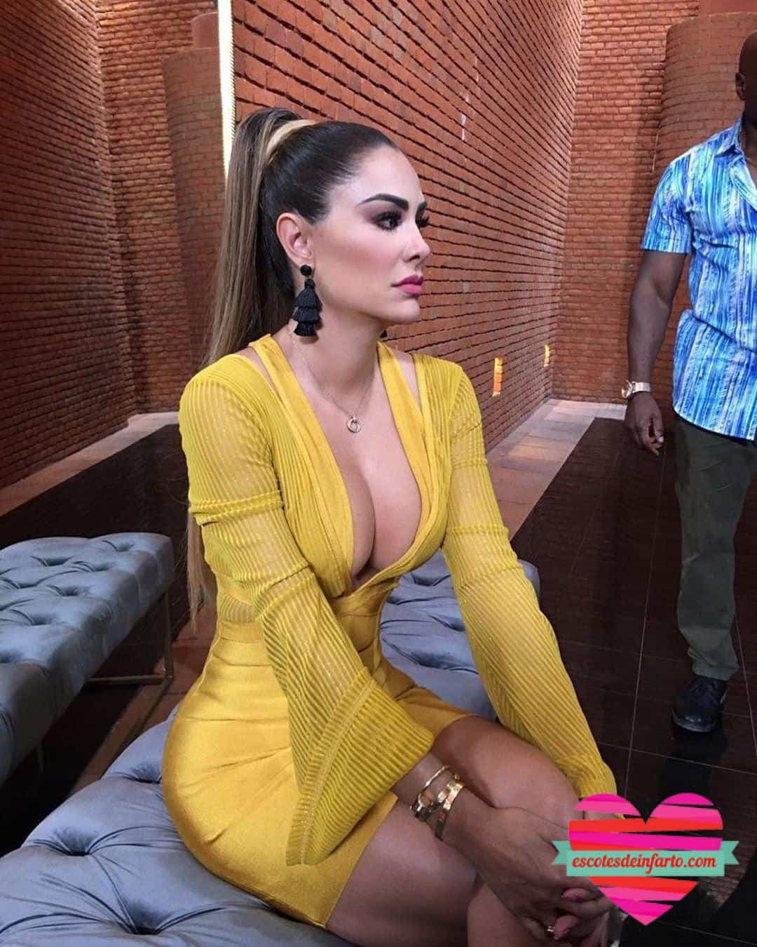 Ninel Conde Fotografías Hot 3 Ninel Conde 13